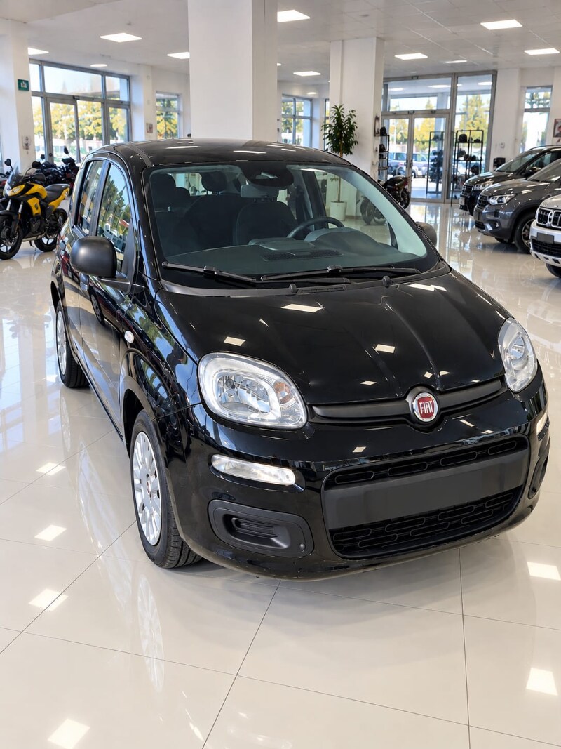 FIAT Pandina